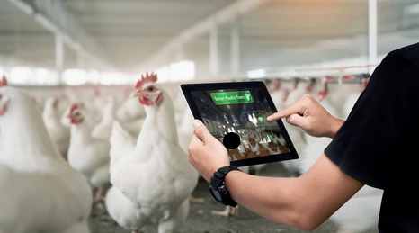 Smart Poultry Farm Automation with Sonoff India
