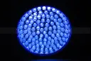 Black Light UV 6.webp