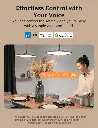 ZBM5_1000px_09.webp